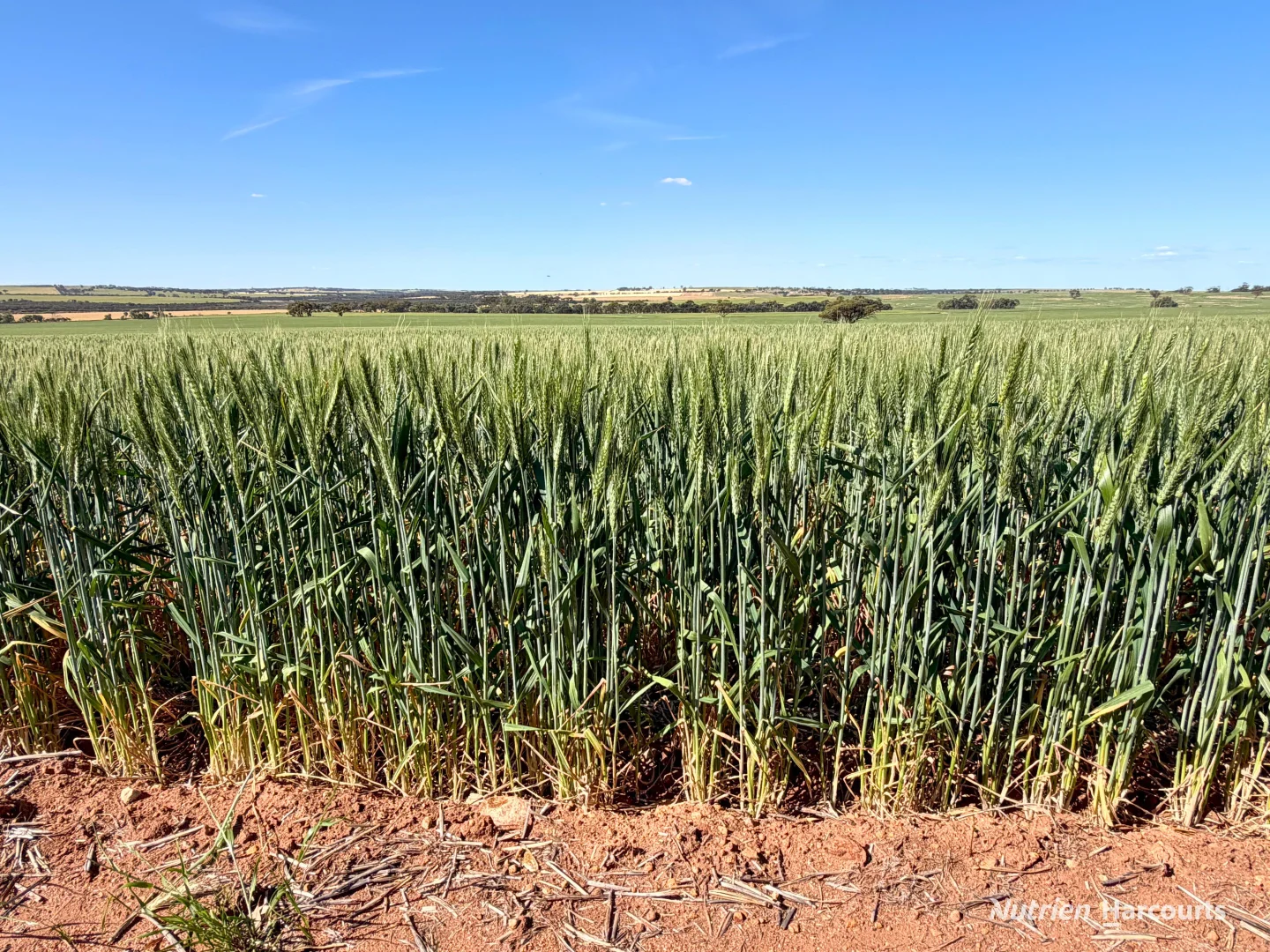 "Mirrabinda" Lot 3882 Brooksbank Road - Image 3